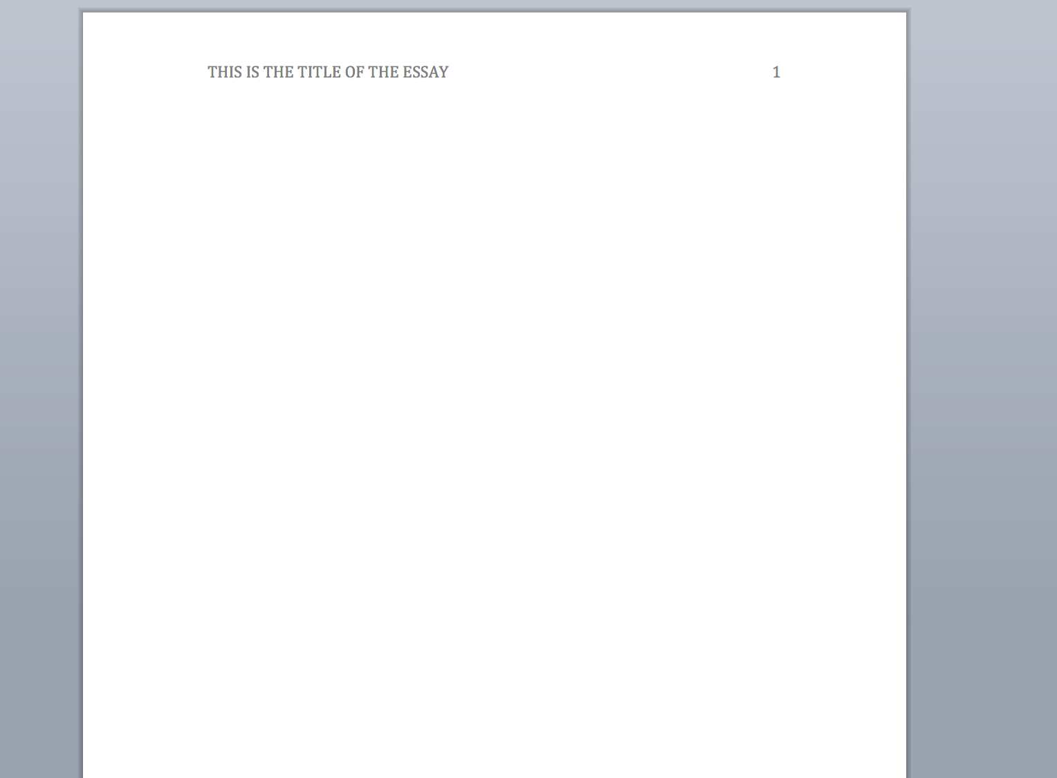 what a essay looks like