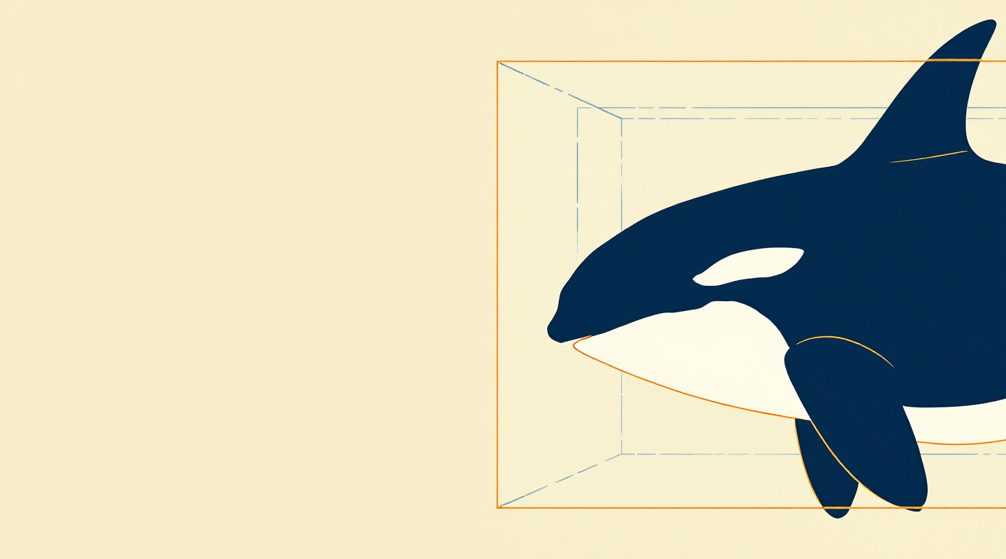 SeaWorld and the Blackfish Documentary Essay